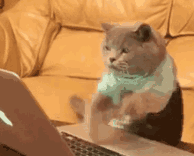 aaf7d63a049f972a27516d8f89a5817d.gif