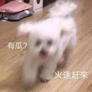 6c3b7d502f93978af1b1e6e2db28c2f2.jpg