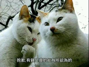 166dfca5e93f0f12b0bb1361ebaeabaa.jpg