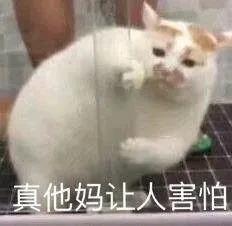 微信图片_20210205115531.jpg 2119ae8248cdb9d36b7c7a883fdf5103.jpg