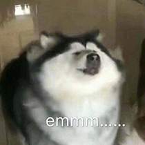 微信图片_20210205115529.png 82433baa6f66f8af6dafdd87ca8141e8.png