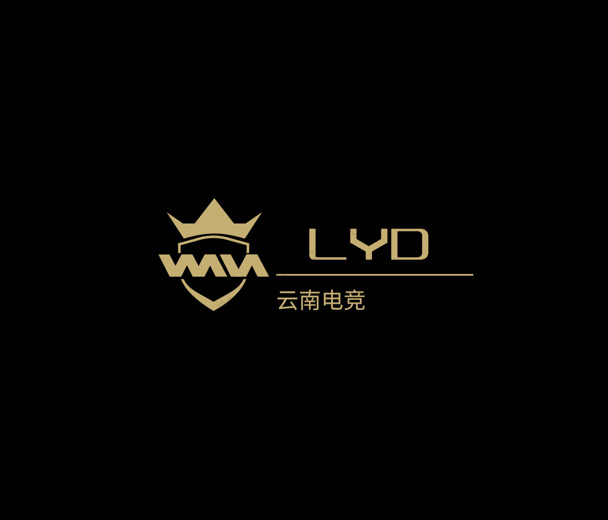 云南LYD社团